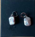 Nieuw! Super mooie zoetwater parel oorbellen, zilver, Overige materialen, Hangers, Overige kleuren, Nieuw