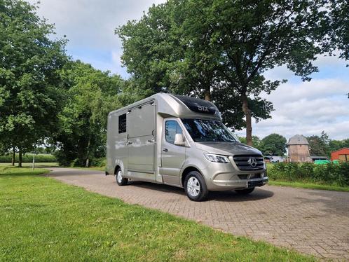 4,1 T paardenwagen Mercedes Sprinter automaat hengsten uitvo, Dieren en Toebehoren, Paarden en Pony's | Trailers en Aanhangwagens