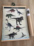 Schoolplaat Dinosaurussen, Ophalen, Zo goed als nieuw