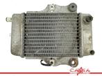 RADIATEUR Honda SES 150 Dylan (SES150) (01-1970/-) (614030), Gebruikt