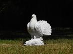 Beeld pauwstaartduif - vol steen, Tuin en Terras, Tuinbeelden, Ophalen of Verzenden, Zo goed als nieuw, Steen, Dierenbeeld