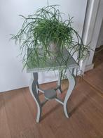 Plantentafel of bijzettafel, Huis en Inrichting, Ophalen of Verzenden, Rond, Minder dan 55 cm
