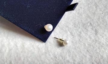 Echt AAA Oorbellen Parels Sterling Zilver Elgant Tijdloos  beschikbaar voor biedingen