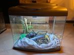 Aquarium superfish 48x36x38 panorama, Ophalen, Gebruikt, Leeg aquarium