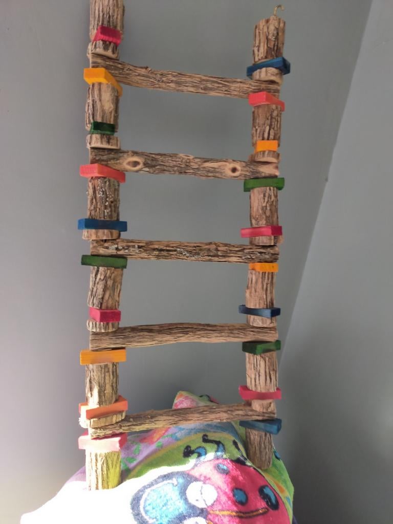 Trapje voor de papagaai. Nieuw, Papegaai