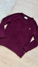 Fabienne Chapot Trui Bordeaux Maat S, Kleding | Dames, Ophalen of Verzenden, Zo goed als nieuw, Fabienne Chapot, Maat 36 (S)