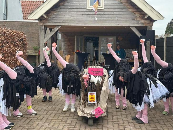 Struisvogel pakken (zelfgemaakt en prijswinnaars!!), Kleding | Dames, Carnavalskleding en Feestkleding, Carnaval, Maat 46/48 (XL) of groter