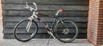Mountainbike KHS Alite 1000, Hardtail, Heren, Zo goed als nieuw, Ophalen