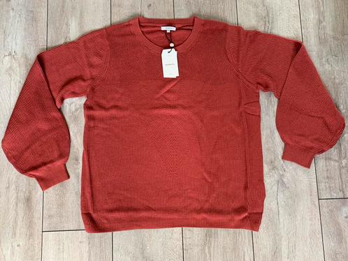 Sandwich super gave nieuwe trui (Maat XXL), Kleding | Dames, Truien en Vesten, Nieuw, Maat 46/48 (XL) of groter, Rood, Verzenden