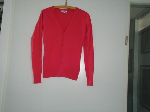 vest vestje mt m merk anni rolfi , rood, Kleding | Dames, Truien en Vesten, Zo goed als nieuw, Maat 38/40 (M), Rood, Ophalen of Verzenden