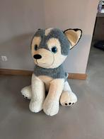 Grote husky knuffel, Kinderen en Baby's, Speelgoed | Knuffels en Pluche, Ophalen of Verzenden, Zo goed als nieuw, Overige typen