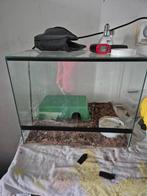 Terarium, Dieren en Toebehoren, Reptielen en Amfibieën | Toebehoren, Ophalen of Verzenden