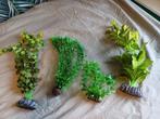 Hoge nep aquarium planten., Dieren en Toebehoren, Vissen | Aquaria en Toebehoren, Ophalen, Zo goed als nieuw, Plant(en), Steen of Hout