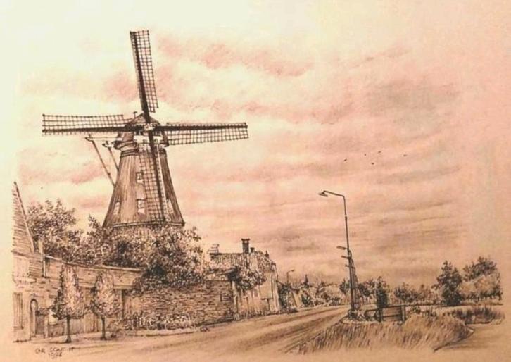 Montfoort ... Korenmolen " de Valk "......, Antiek en Kunst, Kunst | Tekeningen en Foto's, Ophalen of Verzenden