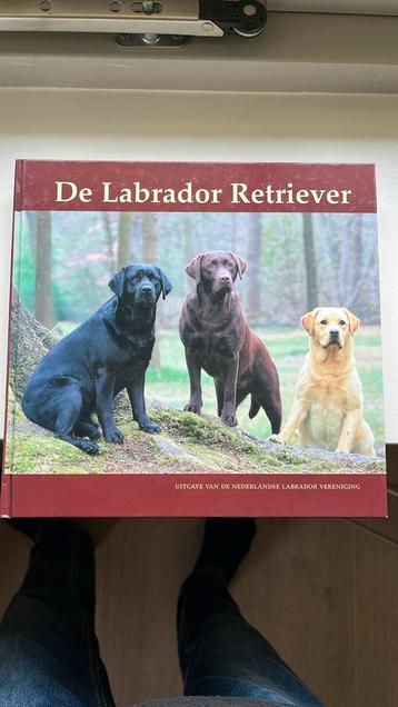 5 boeken over de Labrador Retriever beschikbaar voor biedingen