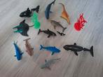 Zeedieren Collectie, Ophalen of Verzenden, Zo goed als nieuw, Jongen of Meisje