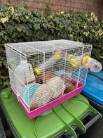 Hamster kooi compleet, Kooi, Gebruikt, Minder dan 75 cm, Hamster