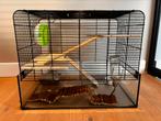 Hamster kooi, Minder dan 60 cm, Kooi, Minder dan 75 cm, Ophalen of Verzenden