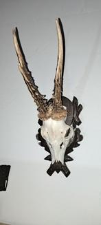 Hertengewei op schild, Ophalen of Verzenden