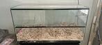 Hamster terarium, Dieren en Toebehoren, Gebruikt, Hok, 75 tot 110 cm, Ophalen