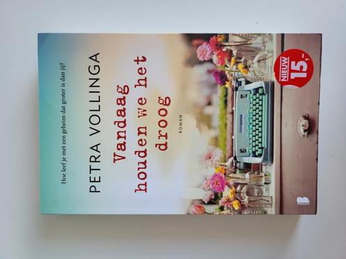 Petra Vollinga - Vandaag houden we het droog, Boeken, Literatuur, Zo goed als nieuw, Nederland, Ophalen of Verzenden