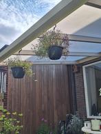 Gevraagd doorzichtige polycarbonaat-platen voor een veranda, Ophalen, Zo goed als nieuw, Veranda