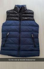 Lacoste bodywarmer, Ophalen, Zo goed als nieuw, Blauw, Lacoste