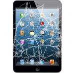 iPad glas gebroken wij hebben nieuwe unit, Ophalen, Niet werkend