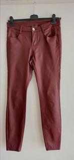 Donker rode coating broek mt 40, Kleding | Dames, Maat 38/40 (M), Ophalen of Verzenden, Zo goed als nieuw, Lang