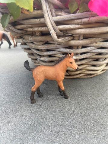 Schleich veulens beschikbaar voor biedingen