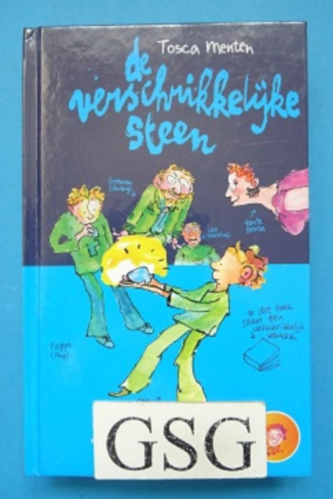 De verschrikkelijke steen nr. 348930-01, Boeken, Kinderboeken | Jeugd | 10 tot 12 jaar, Nieuw, Ophalen