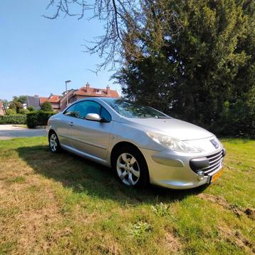 Peugeot 307 1.6 16V CC 2005 Grijs beschikbaar voor biedingen