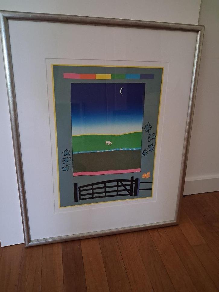 zeefdrukken van Harrie Gerritz, Antiek en Kunst, Kunst | Schilderijen | Modern, Ophalen