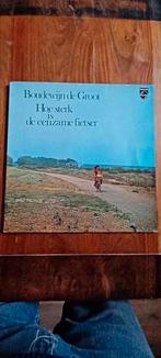 Boudewijn de Groot, Ophalen, Gebruikt, 12 inch, Levenslied of Smartlap