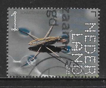 2021, Landgoed Haarzuilens, Schaatsenrijder [3940] (K0734) beschikbaar voor biedingen