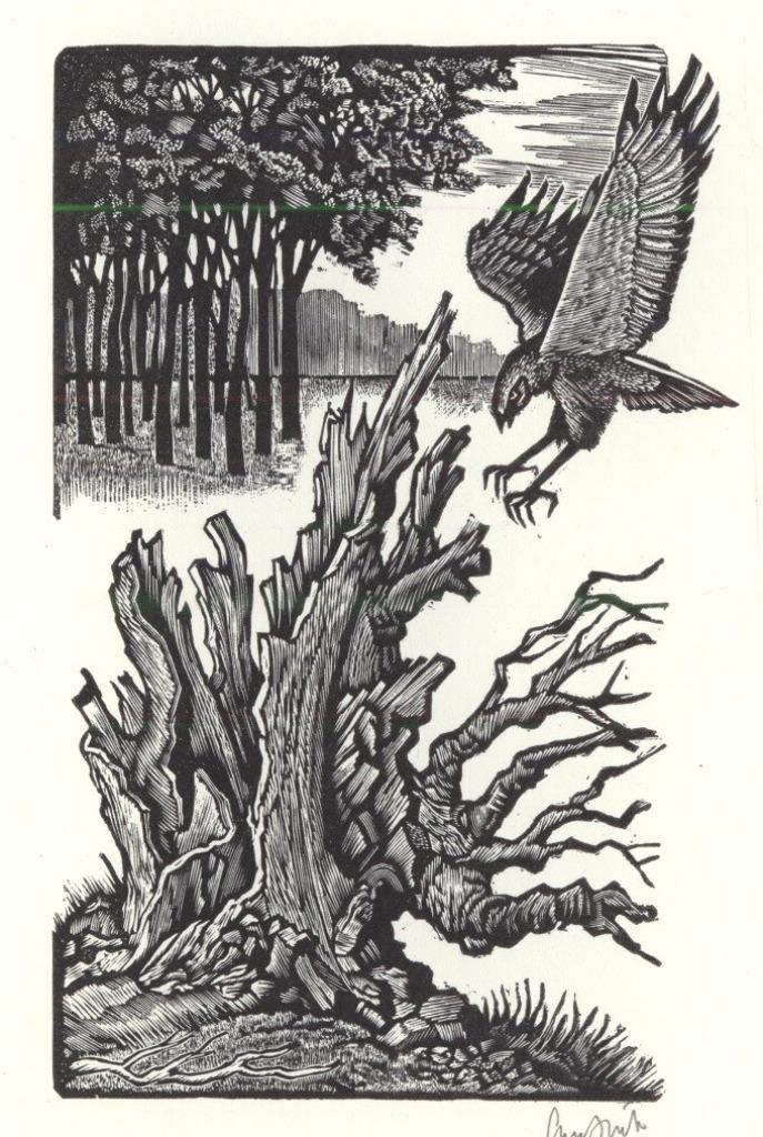 1369 Ex Libris Nederland : Lou Strik, 1986, Antiek en Kunst, Kunst | Etsen en Gravures, Verzenden