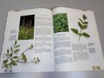 Handboek kruiden — Kweken & oogsten — Rijk geïllustreerd, Ophalen of Verzenden, Gelezen, Overige onderwerpen, Achtergrond en Informatie
