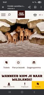 Wildlands tickets 3x, Drie personen of meer, Ticket of Toegangskaart