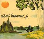 Albert Hammond Jr, Ophalen of Verzenden, Gebruikt