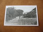 VALKENISSE  =  EEN STUK NATUURSCHOON, Ophalen of Verzenden, 1940 tot 1960, Gelopen