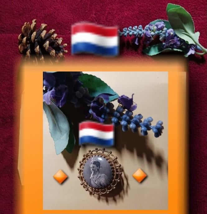 Broche koningin Wilhelmina (1948 portret), Verzenden, Gebruikt, Nederland, Speld(je) of Lepel(tje)