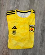 SC Cambuur officieel spelers inloop shirt. maat M nummer 49, Ophalen of Verzenden, Zo goed als nieuw, Shirt
