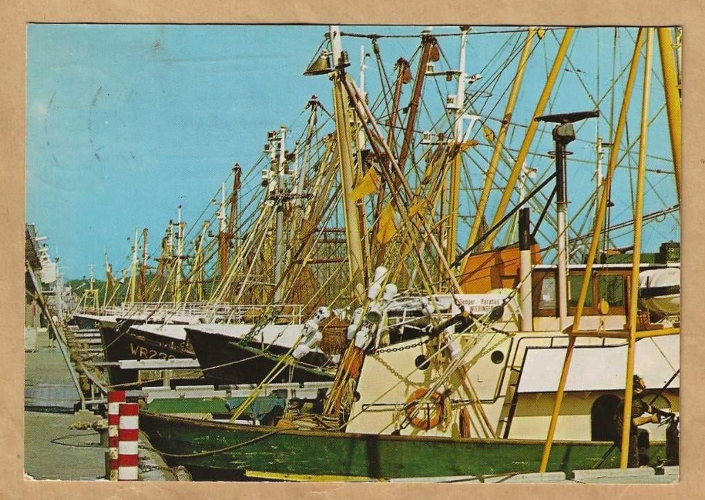 Ansichtkaart. Den Helder. Vissersboten., Ophalen of Verzenden, 1980 tot heden, Noord-Holland