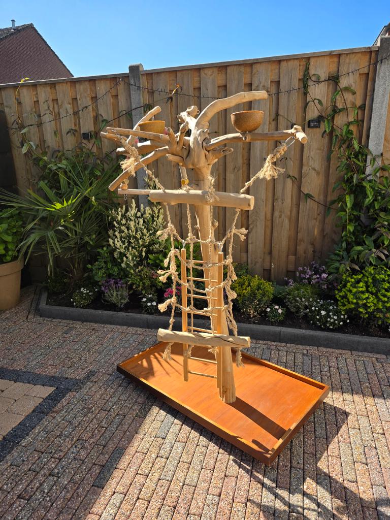 Nette papegaaienboom/Javaboom, Dieren en Toebehoren, Meerdere dieren, Papegaai