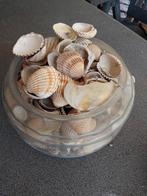 Glazen schaal met schelpen, Ophalen