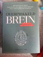 Overprikkeld brein van Charlotte Labee, Ophalen of Verzenden, Zo goed als nieuw, Cognitieve psychologie