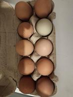 Broedeieren, Ophalen, Overige typen