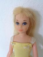 Skipper van Barbie,….. ( Fotonr V64), Ophalen of Verzenden, Gebruikt, Fashion Doll