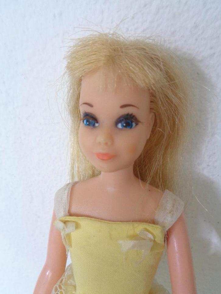 Skipper van Barbie,….. ( Fotonr V64), Verzamelen, Poppen, Gebruikt, Fashion Doll, Ophalen of Verzenden