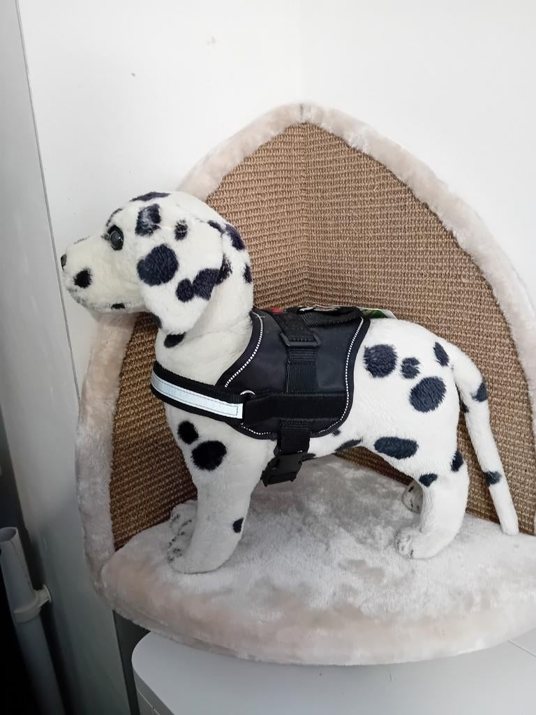 Kleine tuigjes 20 euro per stuk, Dieren en Toebehoren, Ophalen of Verzenden